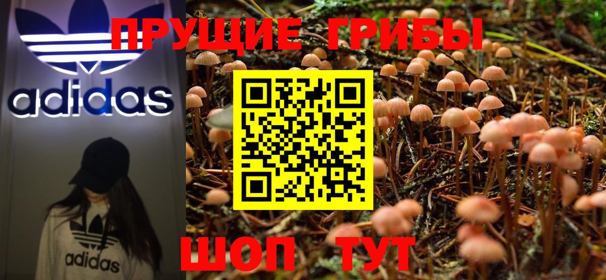 Псилоцибиновые грибы Psilocybe  закладки  Каспийск  Вход с VPN 