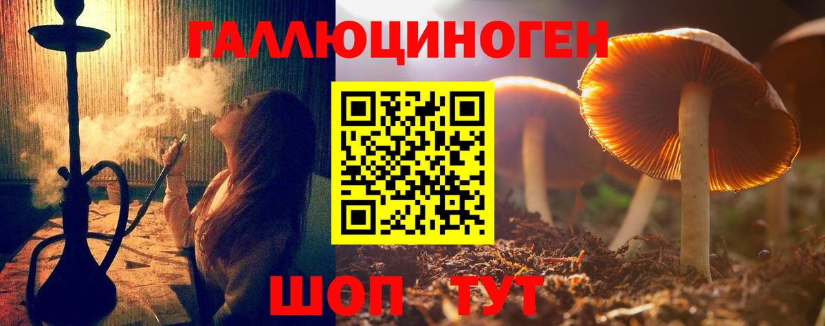 Псилоцибиновые грибы ЛСД Каспийск